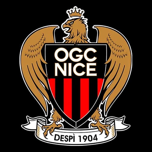 Nice logo