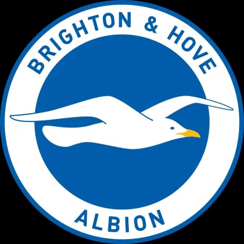 Brighton & Hove Albion logo