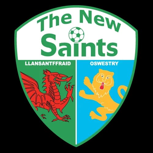 The New Saints logo