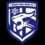 Wuhan Three Towns logo