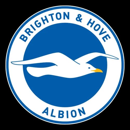 Brighton & Hove Albion logo