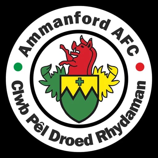 Ammanford logo