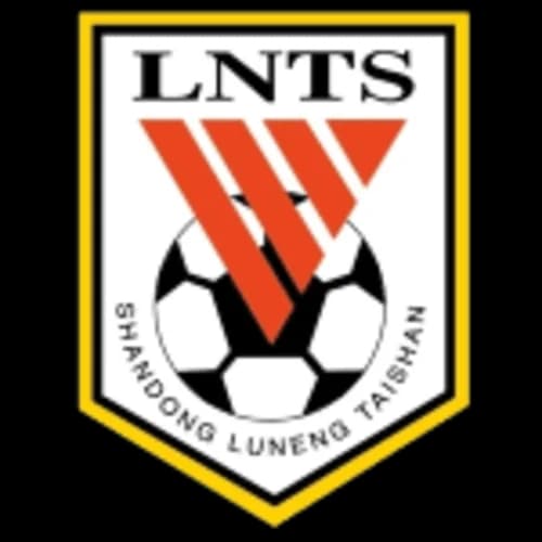 Shandong Taishan logo