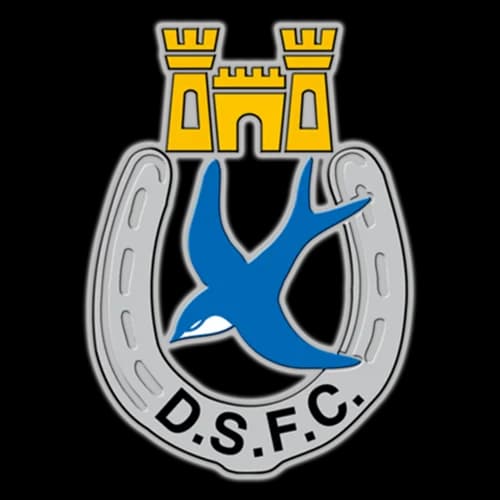 Dungannon Swifts logo