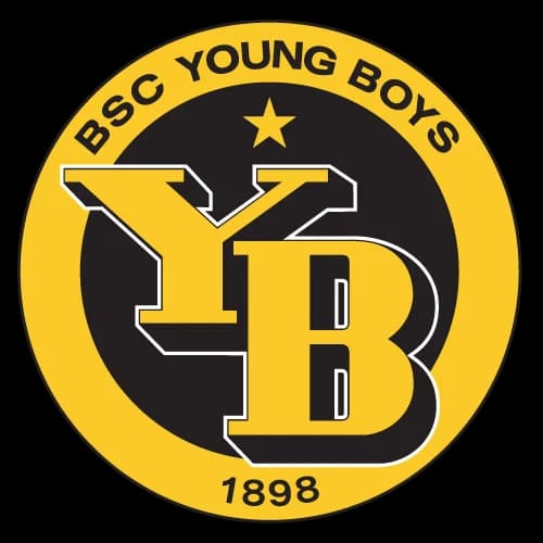Young Boys logo