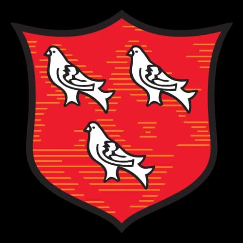 Dundalk logo